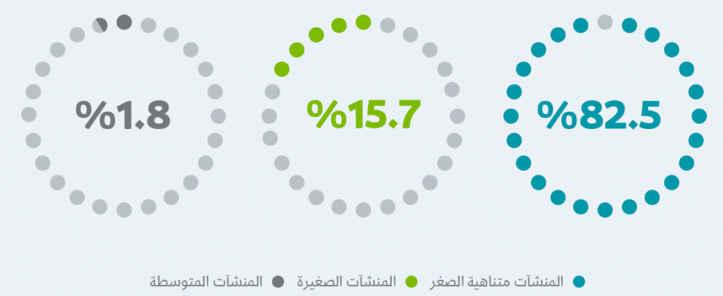 المنشآت الصغيرة والمتوسطة