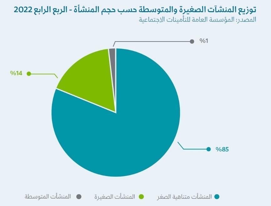 توزيع المنشآت الصغيرة والمتوسطة