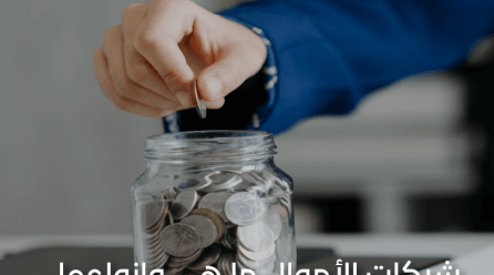 شركات الأموال