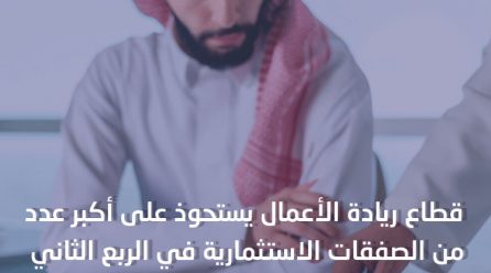 قطاع ريادة الأعمال