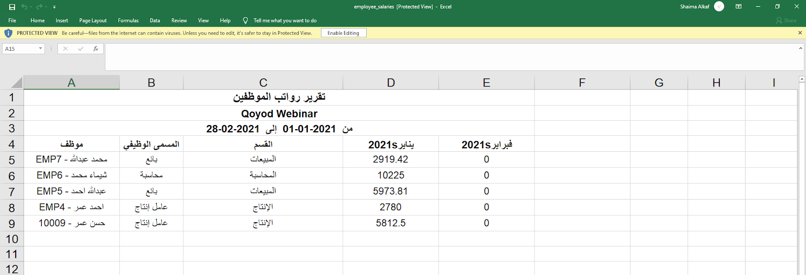 تقرير رواتب الموظفين