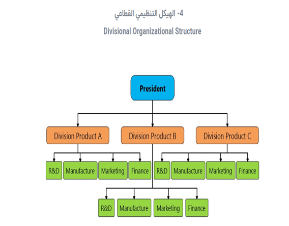 نموذج الهيكل التنظيمي القطاعي