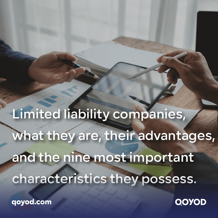 What are limited liability companies (L.L.C.)?